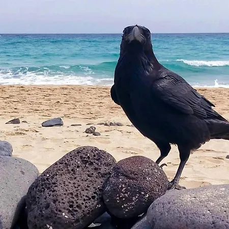 Esquinzo Residenzial *