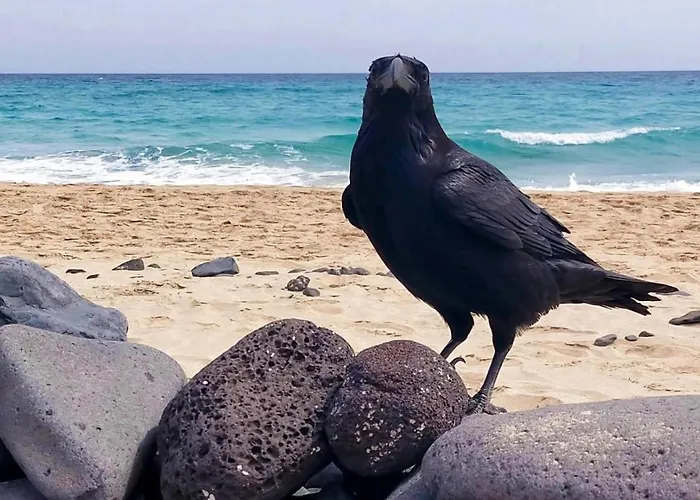 Esquinzo Residenzial *